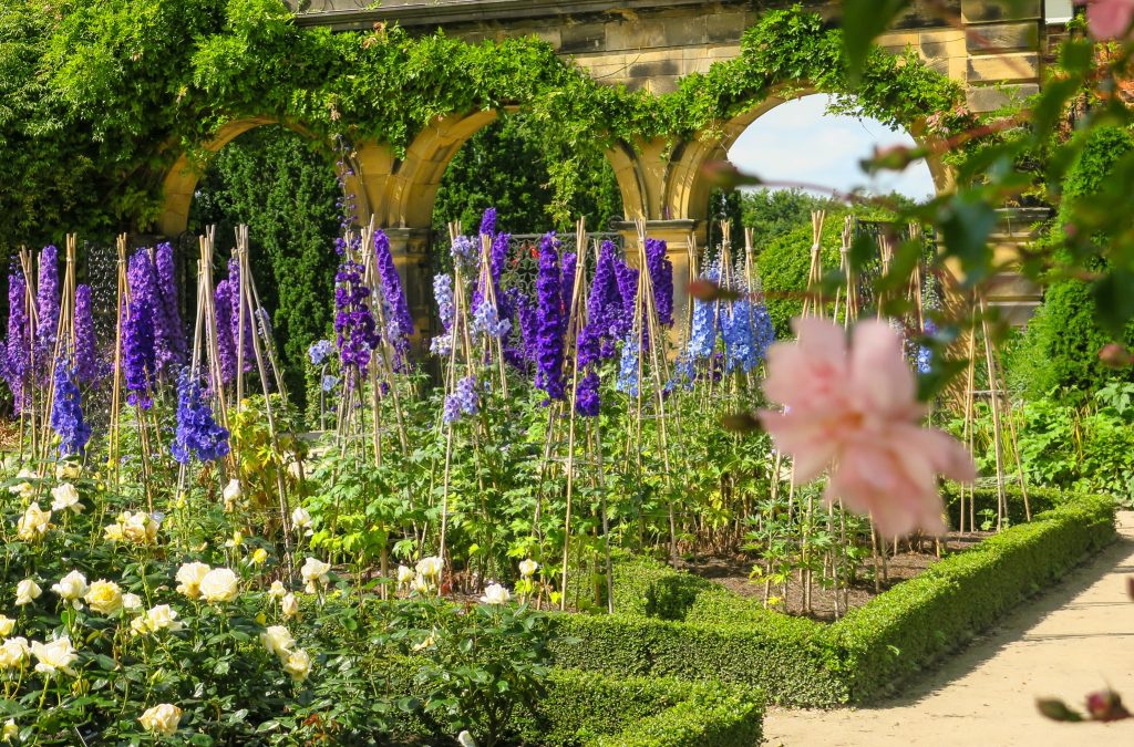 The Alnwick Garden