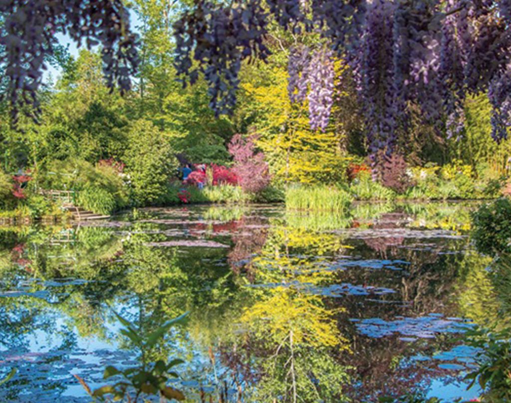 Water lilies on the pond at Giverny, Normandy