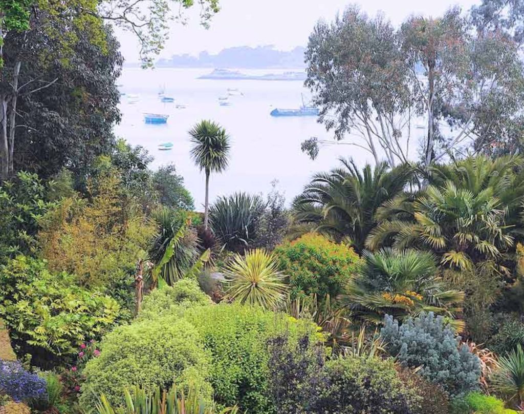 Coastal planting at Jardin du Pellinec, Brittany