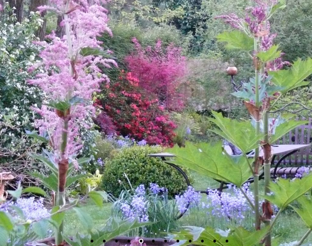 Planting at Le Jardin Retiré, Brittany