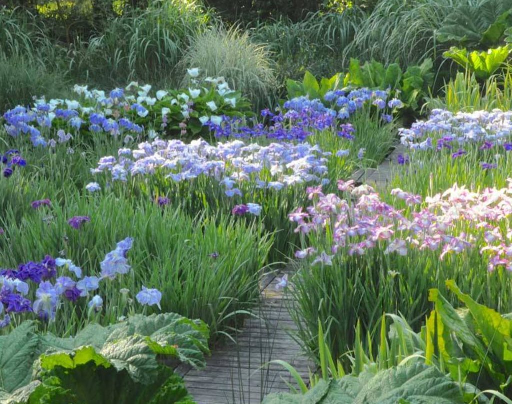 Borders and ornament at Le Jardin Retiré, Brittany