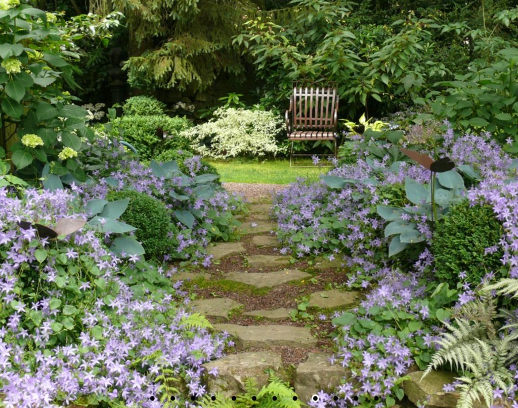 A garden scene at Le Jardin Retiré, Brittany
