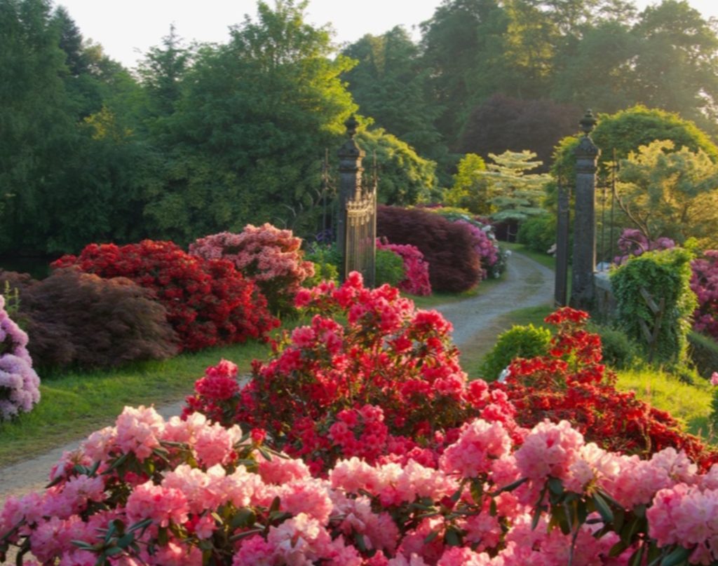 A themed garden at Parc Botanique de Haute Bretagne, Brittany