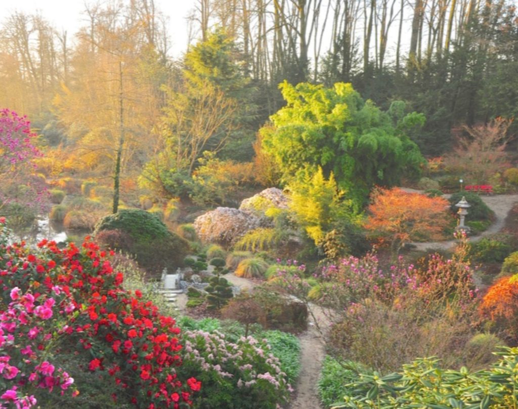 Trees and borders at Parc Botanique de Haute Bretagne, Brittany