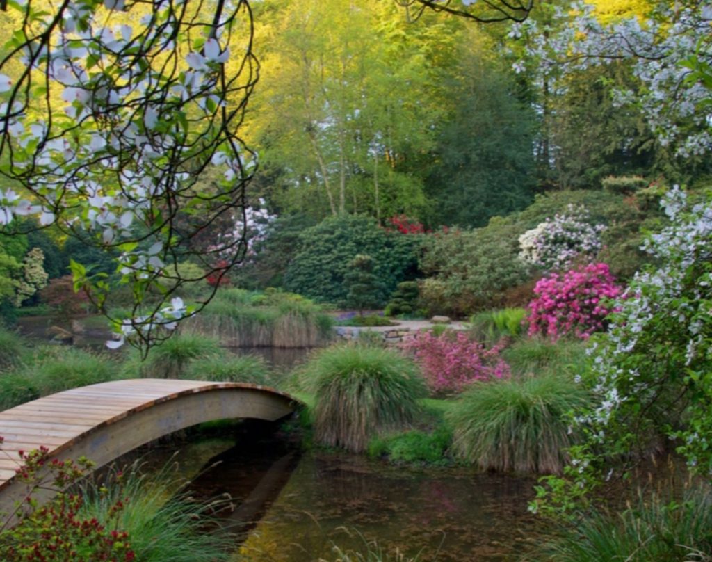 A garden vista at Parc Botanique de Haute Bretagne, Brittany