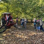 Group of people in a chestnut wood watching the harvest